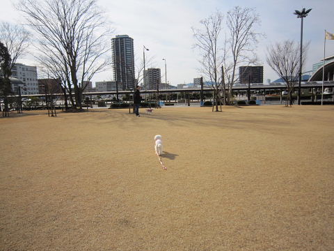 b0104592_10492195.jpg