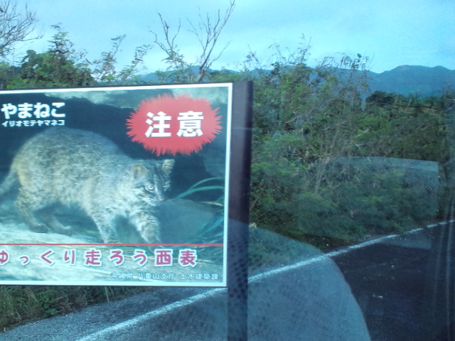 f0042295_15323993.jpg