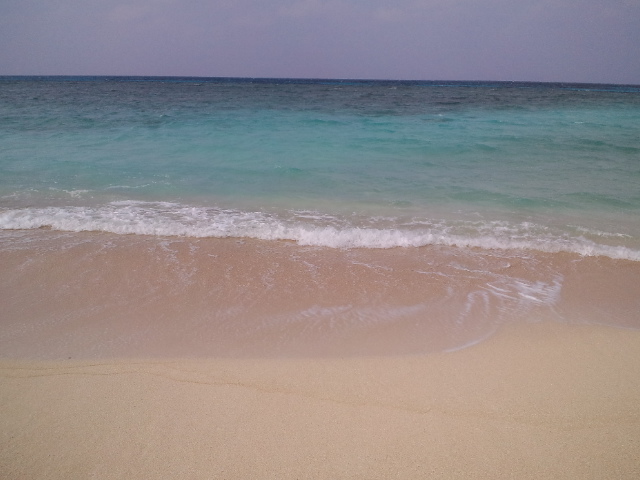 f0042295_15403038.jpg