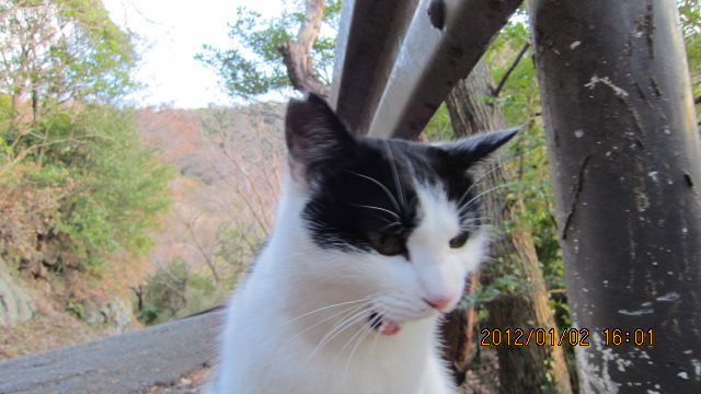 c0133096_19505010.jpg