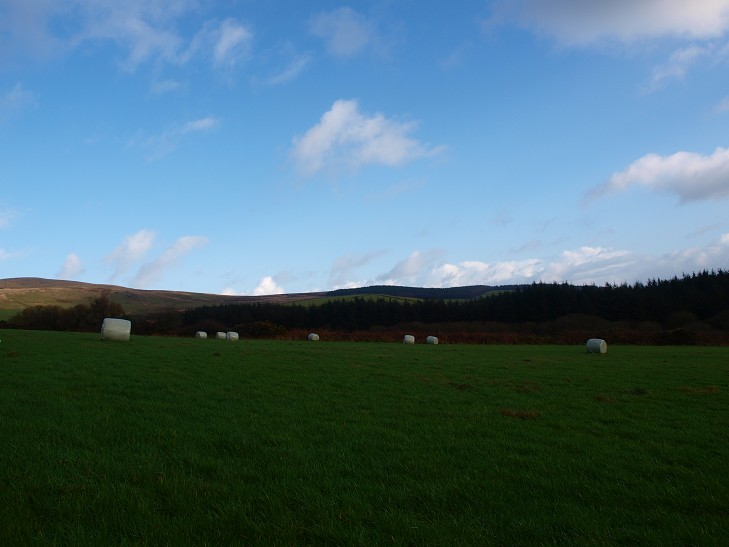 b0110999_21421394.jpg