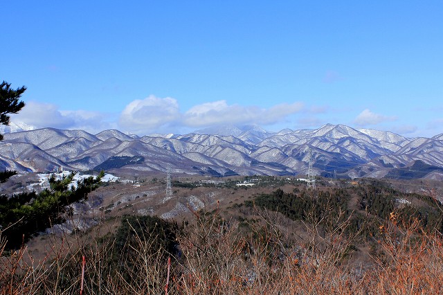 e0137200_1543521.jpg