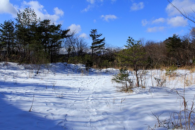 e0137200_1552553.jpg
