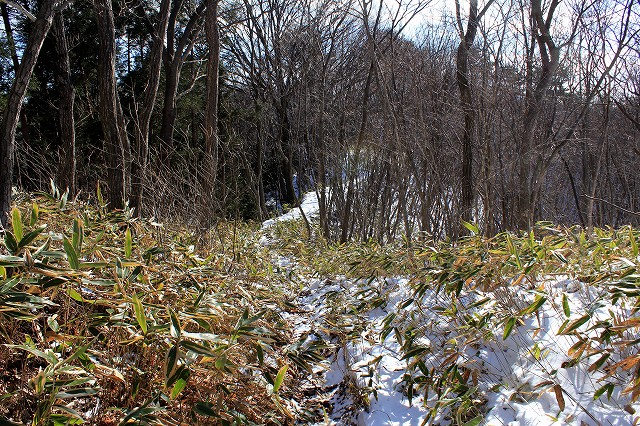 e0137200_1552652.jpg