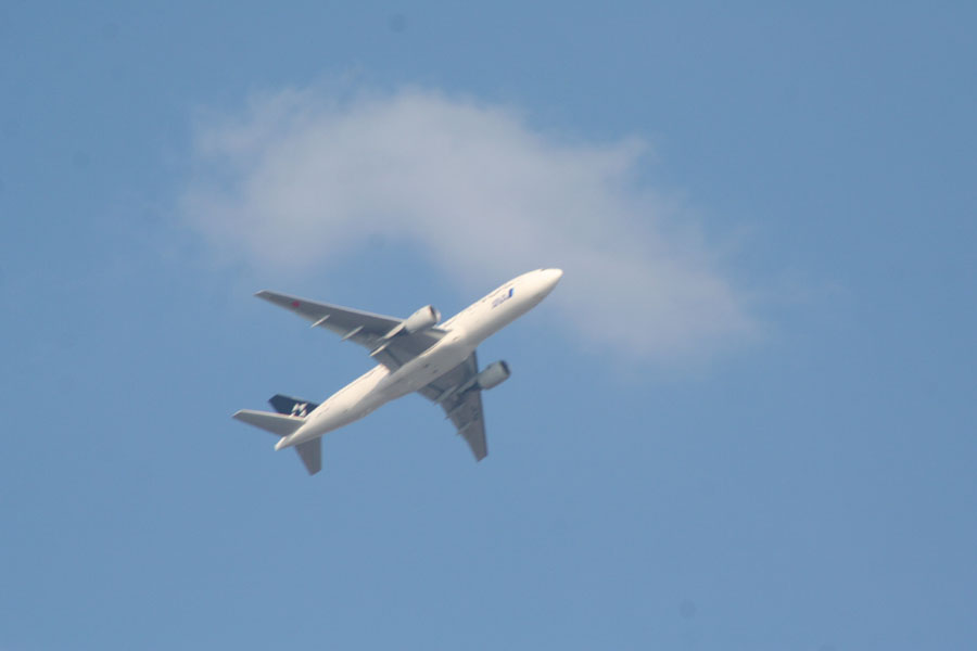 f0050302_14501479.jpg