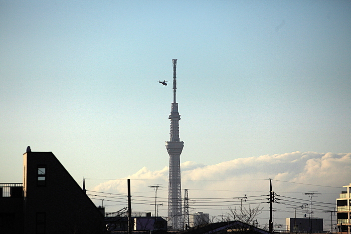 e0117503_1212472.jpg