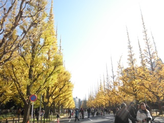 c0173105_14482756.jpg