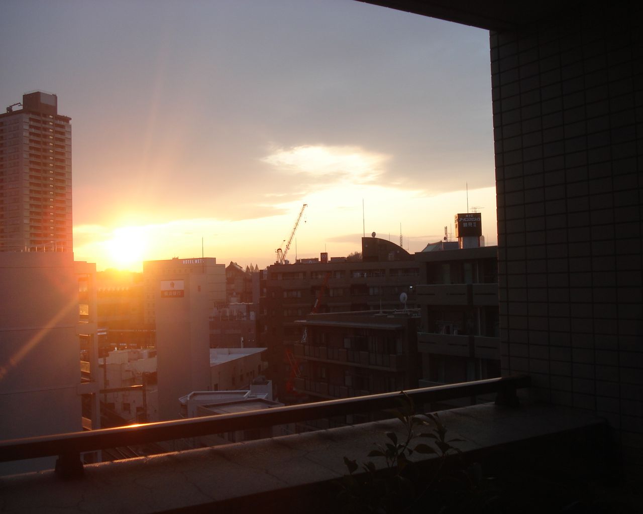 b0148106_1112462.jpg