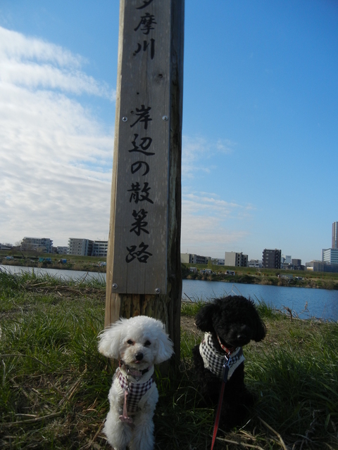 e0211806_12283751.jpg