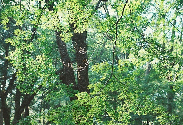 e0202310_1637951.jpg