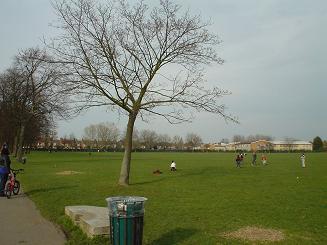 c0054112_1784361.jpg