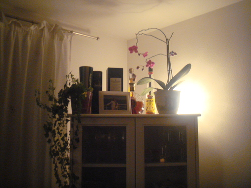 c0167813_1073331.jpg