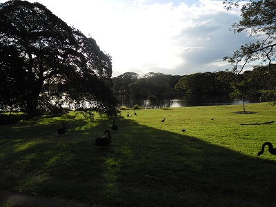b0191418_7512758.jpg