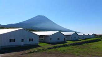 c0205318_1305455.jpg