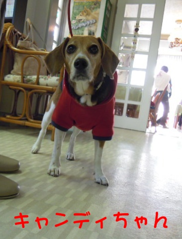 c0166622_2133391.jpg