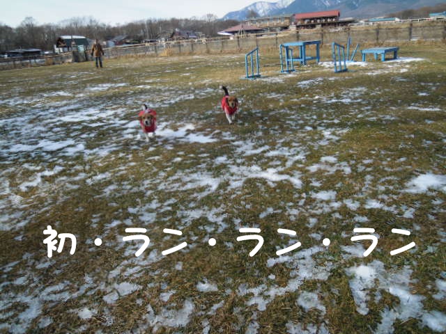 c0166622_214048.jpg