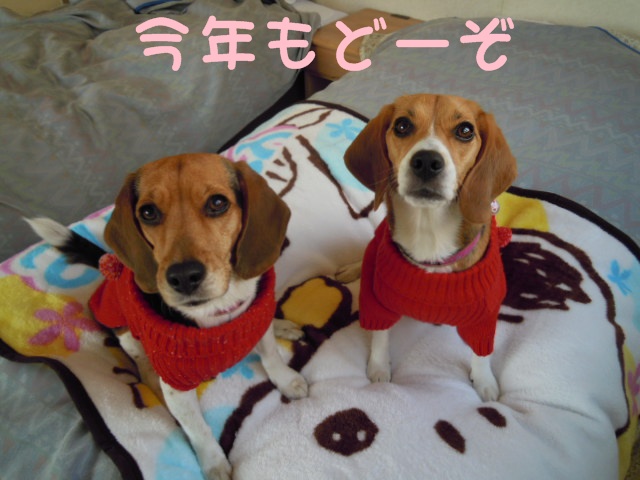 c0166622_21473446.jpg