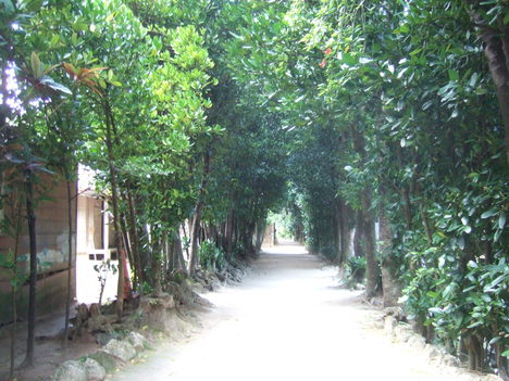 d0195623_11262569.jpg