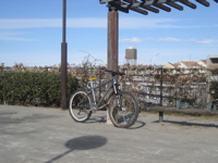 e0002927_1256181.jpg