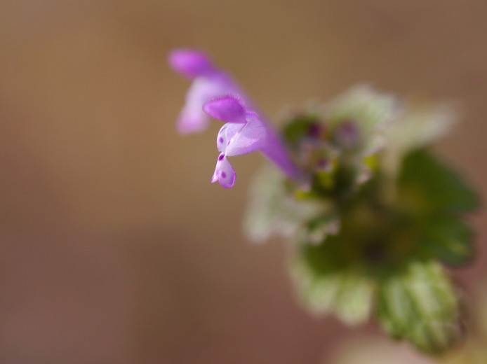 d0241937_16292532.jpg