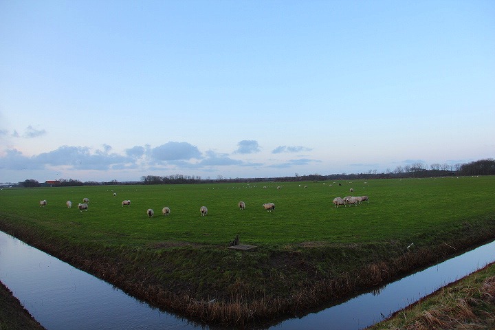 c0153740_2014644.jpg