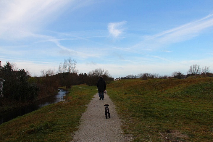 c0153740_2293874.jpg