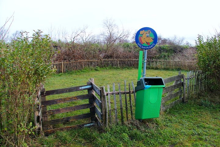 c0153740_2315187.jpg