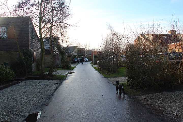 c0153740_2335039.jpg