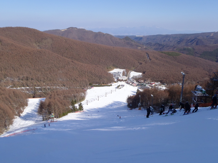d0132743_154145.jpg