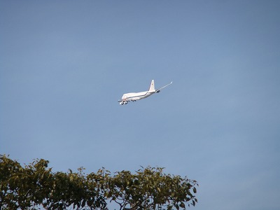 e0173645_13175472.jpg