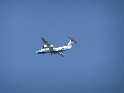 e0173645_1332922.jpg