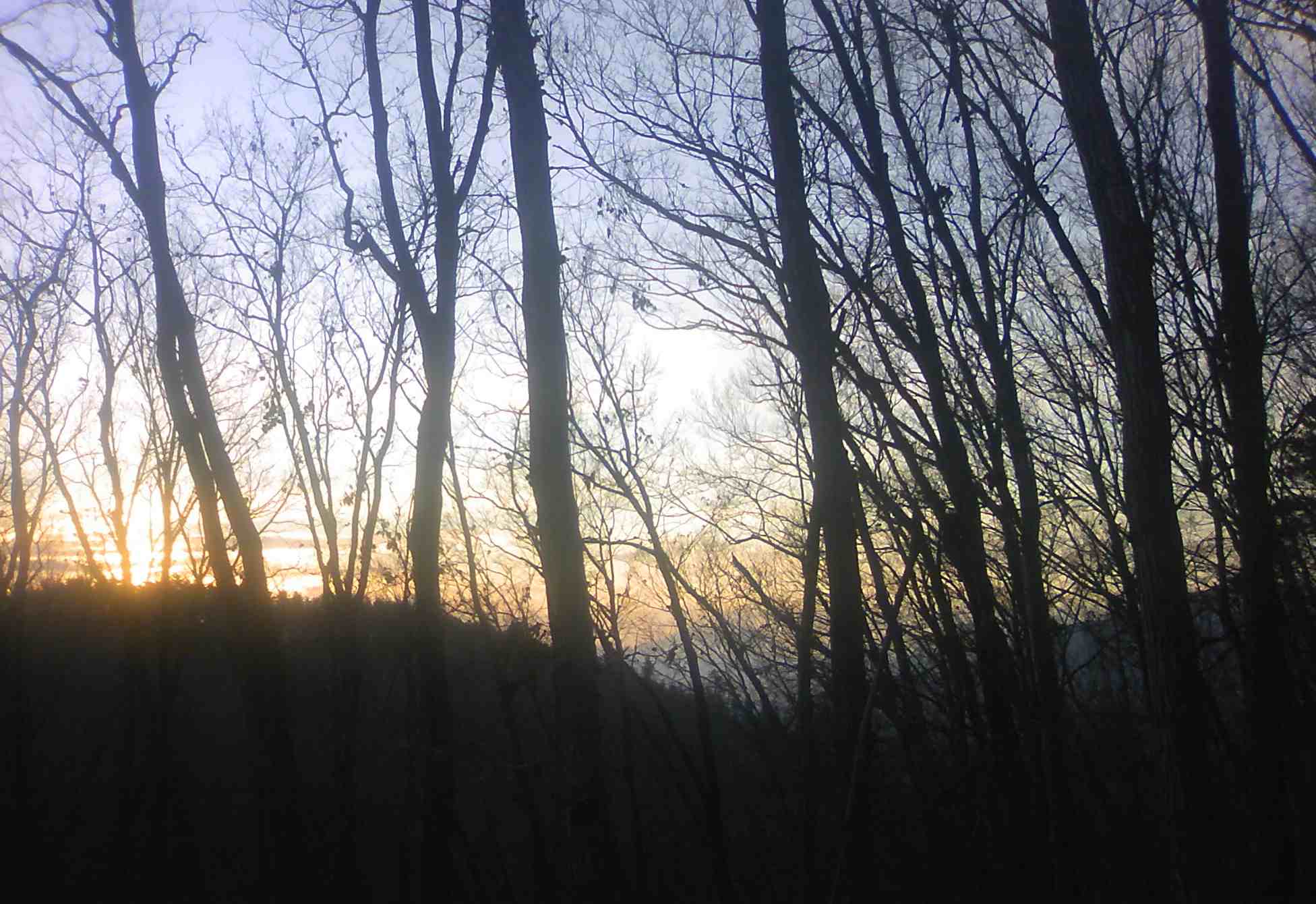 a0119252_13451361.jpg