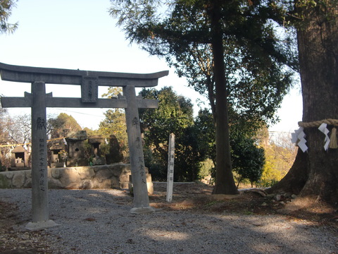 c0206352_17243160.jpg