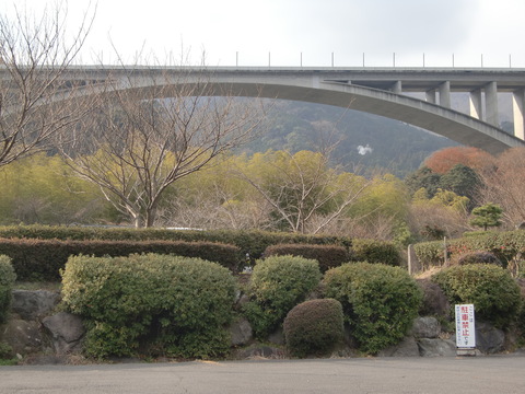 c0206352_17355321.jpg