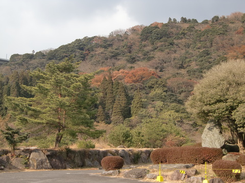 c0206352_17362141.jpg