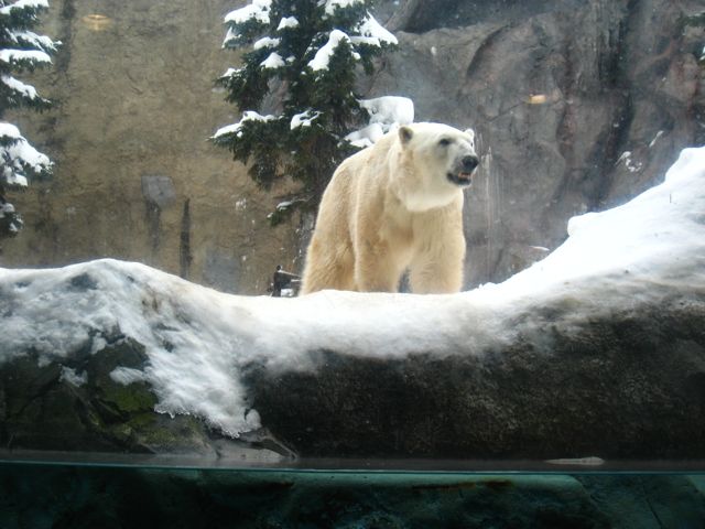 f0140257_063745.jpg