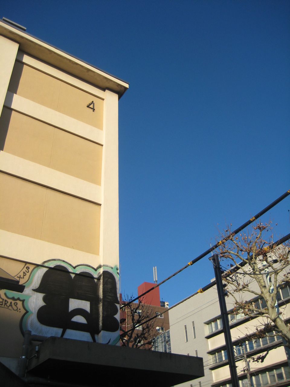 b0124858_11493171.jpg
