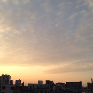 a0246661_170581.jpg