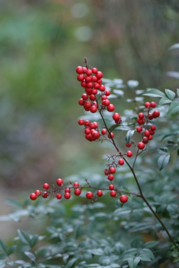 c0186463_23405329.jpg