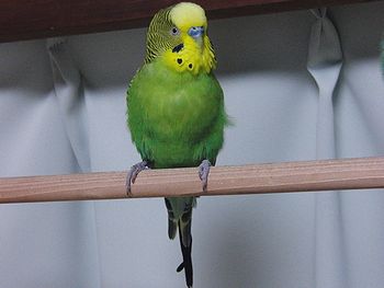 f0196665_2243513.jpg