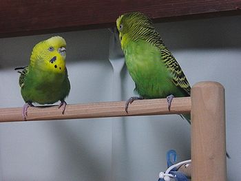 f0196665_22461493.jpg