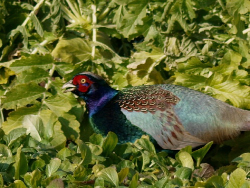 f0208666_12175259.jpg