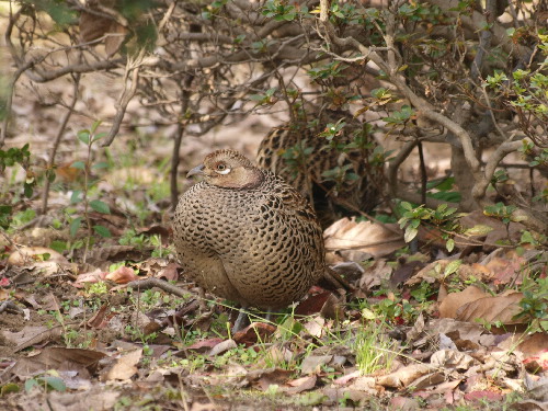 f0208666_1271351.jpg