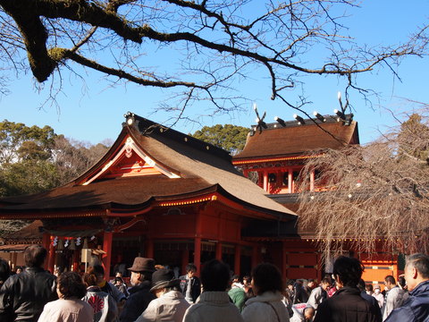 c0144868_2361636.jpg