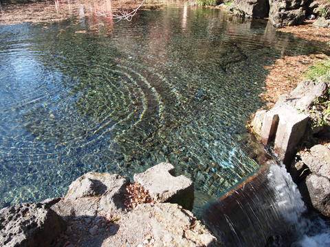 c0144868_2381864.jpg
