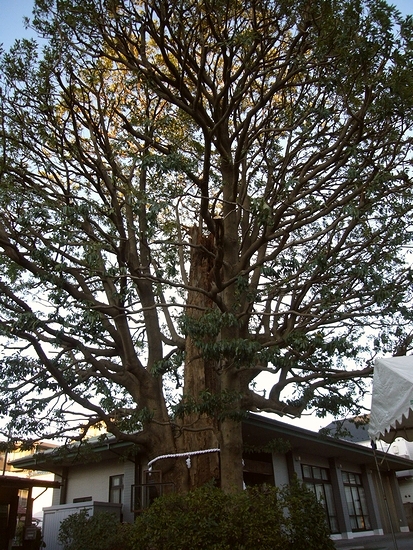 b0069169_2224733.jpg