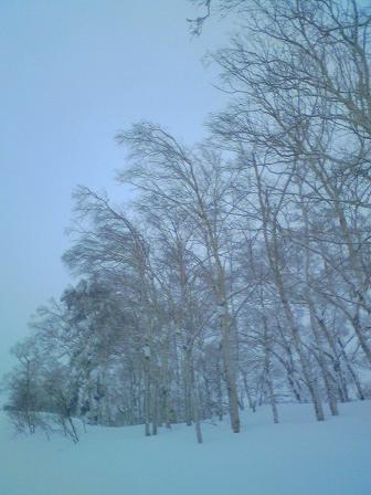 f0036269_10183148.jpg