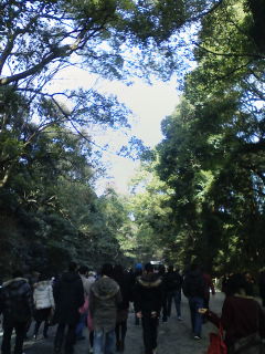 f0112873_0354587.jpg
