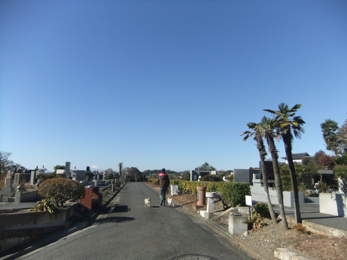 f0063791_17555430.jpg