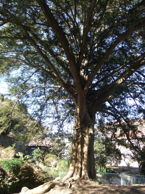 f0063791_17582291.jpg